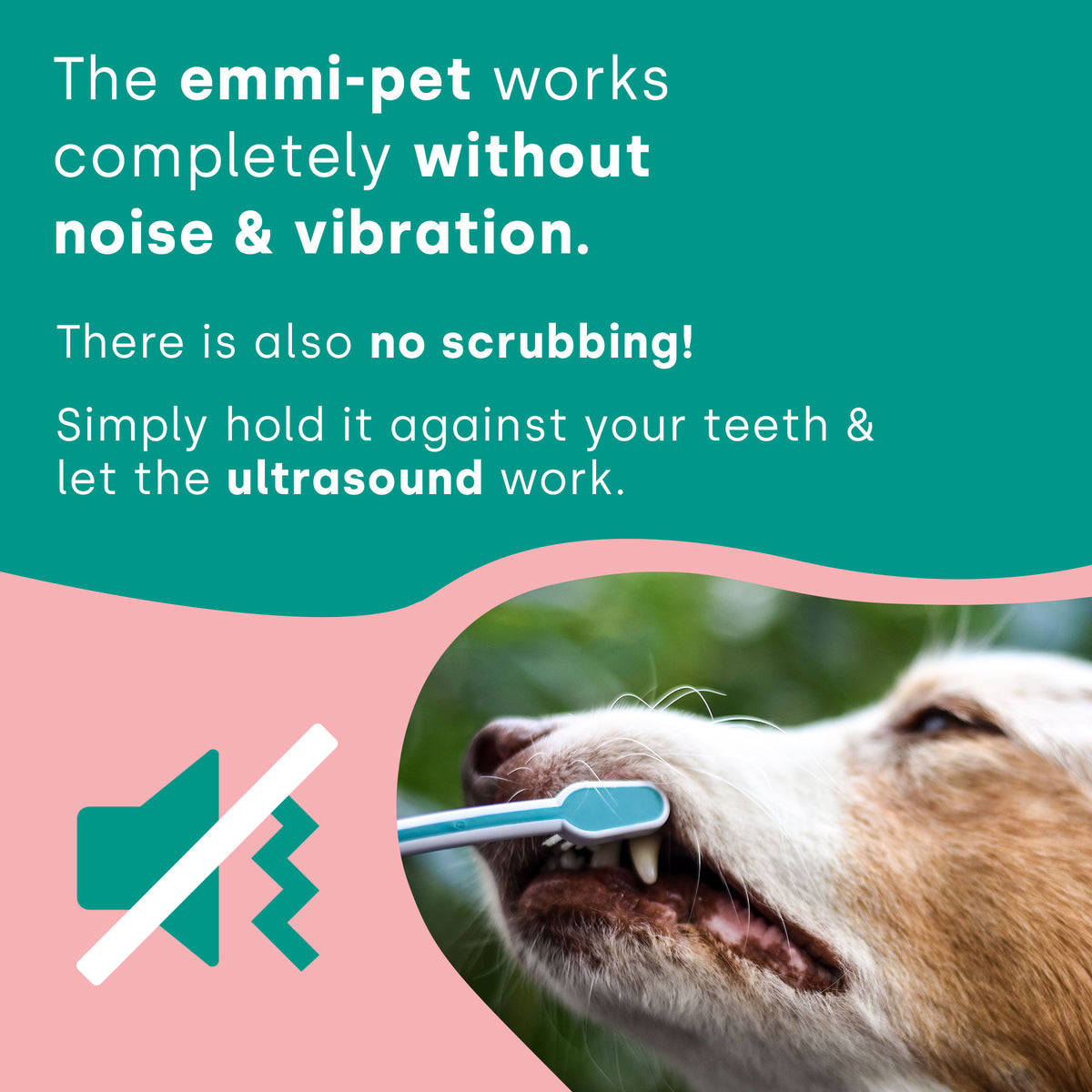 emmi-pet 2.0 Basis Set ( Stecker: UK Stecker )