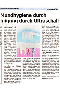 Frankfurt City Courier